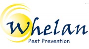AA Whelan Pest Prevention